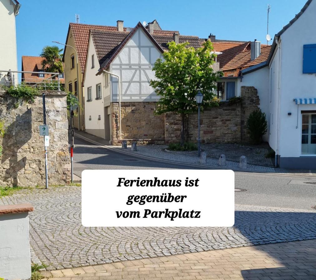 Ferienhaus Am Park Klingenmunster Bagian luar foto